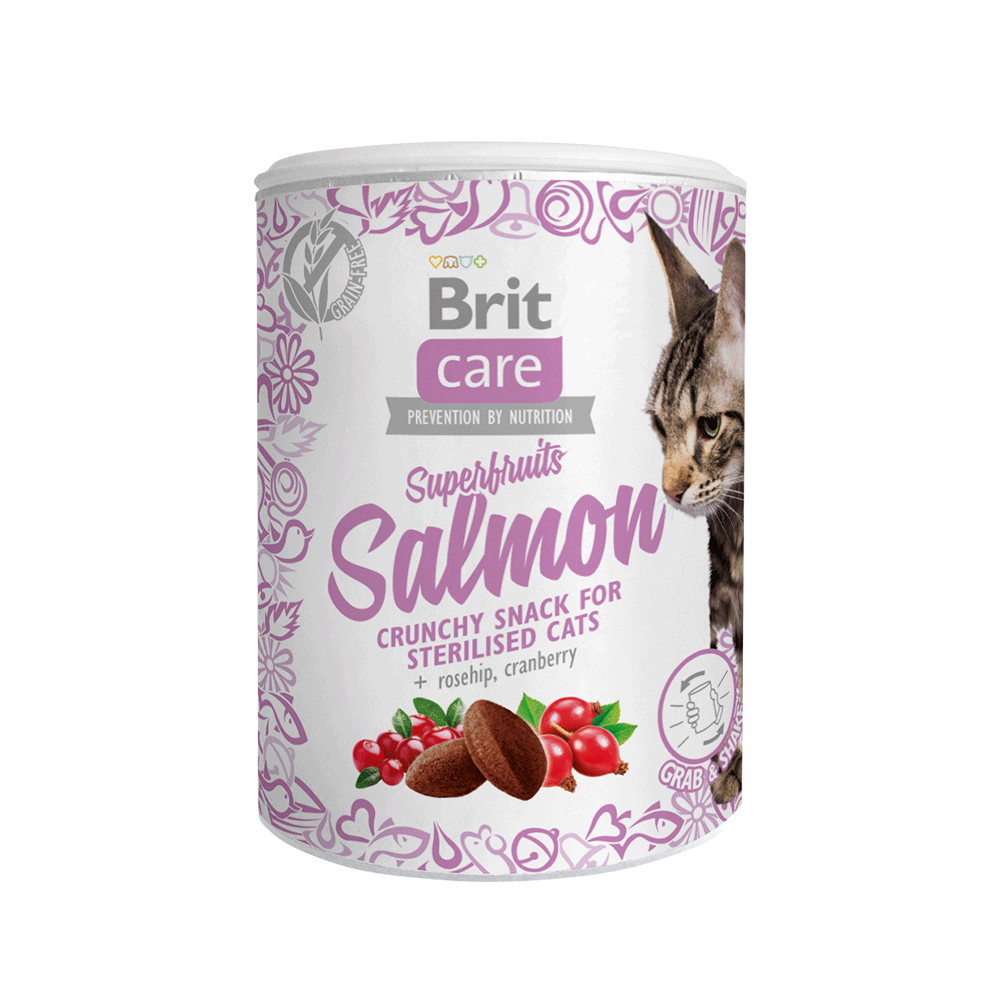 BRIT CARE CAT SNACK SUPERFRUITS SALMON 100 GR