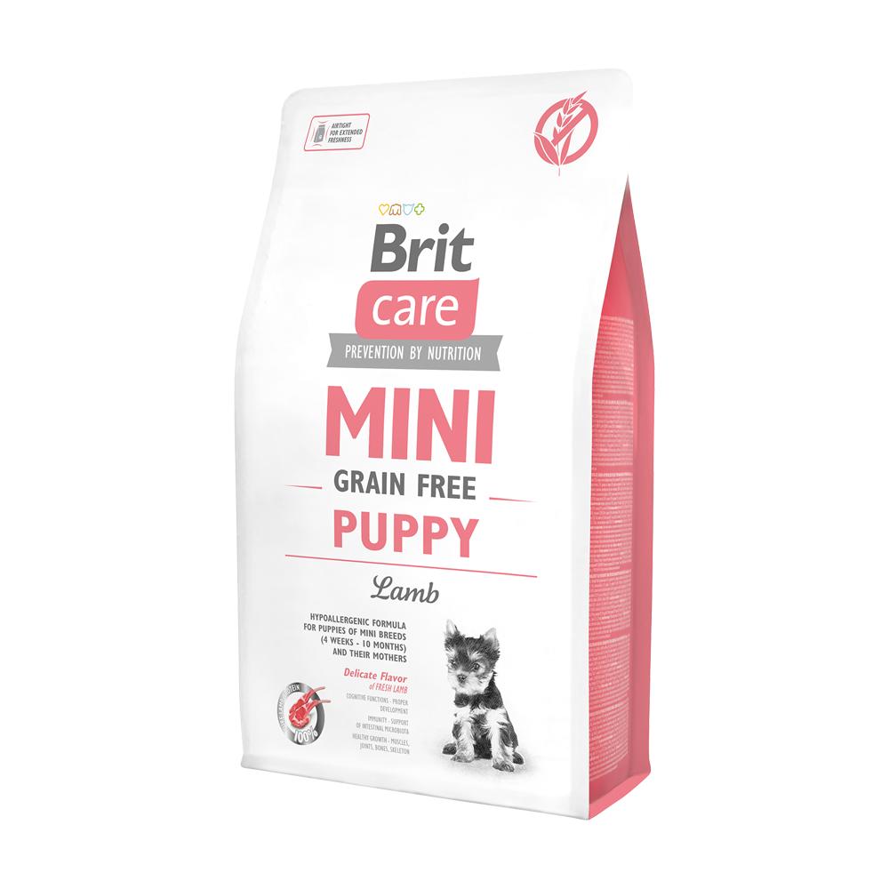 BRIT CARE MINI GF PUPPY LAMB 2 KG