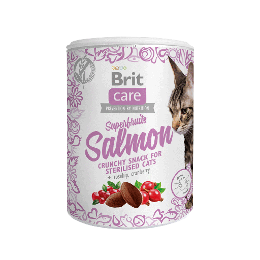 BRIT CARE CAT SNACK SUPERFRUITS SALMON 100 GR
