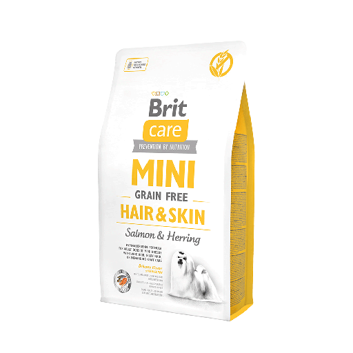 BRIT CARE MINI GF HAIR & SKIN 2 KG