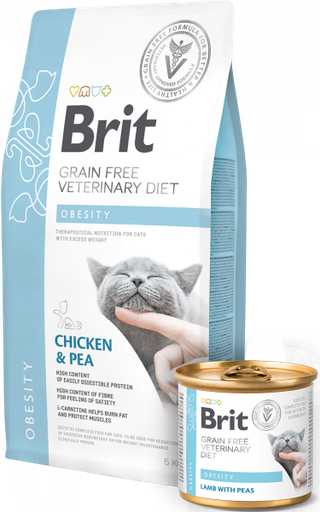 BRIT GF VET DIETS CAT OBESITY 400 GR